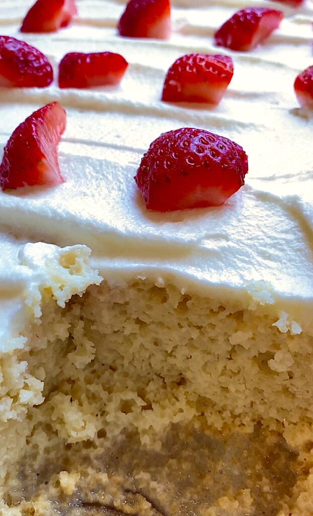 tres leches cake mexican dessert