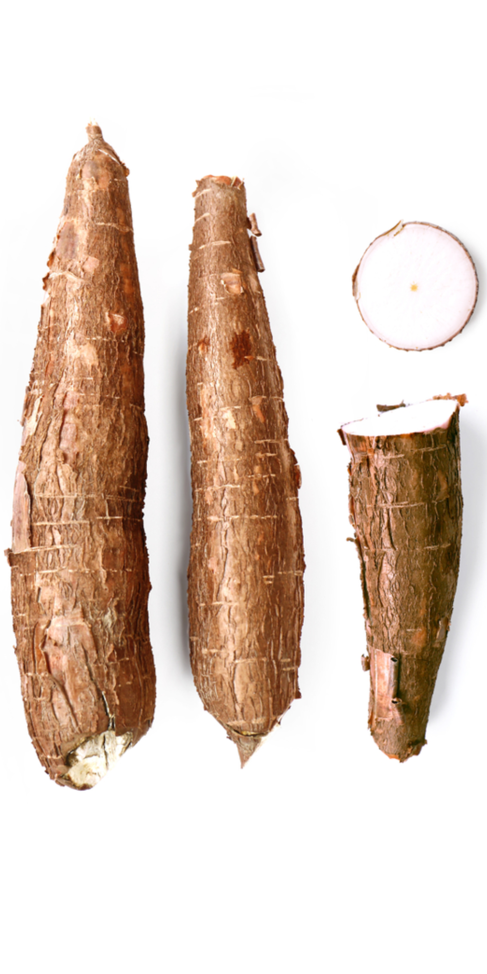 yuca cassava